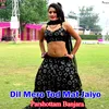 Dil Mero Tod Mat Jaiyo