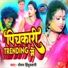 About Pichkari Trending Me Song