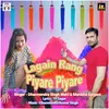 About Lagain Rang Piyare Piyare Song