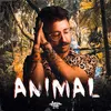 About Animal Song