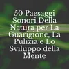 Musica rilassante per meditazioni oceaniche, pt. 1