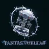 About Tantas Vueltas Song