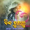 About Nind Churalu Song