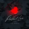 About Perfect Love Song