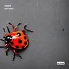 About Acid Insect Song