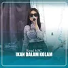 About Ikan Dalam Kolam Song