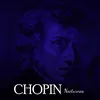 Chopin Complete Nocturnes (Brigitte Engerer) - 1.wav