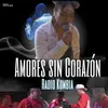 Amores Sin Corazón