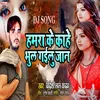 About DJ Song Hamra Ke Kahe Bhul Gailu Jaan Song