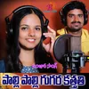 About PALI PALI GUGARA Song