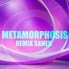 About METAMORPHOSIS Song