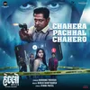 About Chahera Pachhal Chahero Song