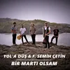 Bir Martı Olsam