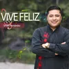 About VIVE FELIZ Song