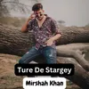 About Ture De Stargey Song