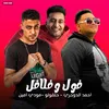About فول وفلافل Song