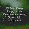 Suoni melodici della pioggia per la pace e la calma, pt. 1