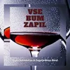 About Vse Bum Zapil Song