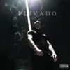 About Freestyle Plivado $1 Song