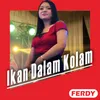 About Ikan Dalam Kolam Song