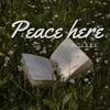 About Peace here Song