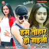 About Hum Tohar Ho Gaini Song