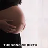 About The song of birth Song