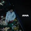 About Ana Song