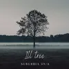 About Ill Tree Song