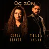 About Üç Gün Song