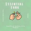About Essential Funk Song