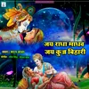 About Jai Radha Madhav Jai Kunj Bihari Song