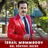 About Gəl Dünyanı Gəzək Song