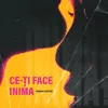 About Ce-ti Face Inima Song