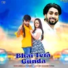 About Bhai Tera Gunda Song