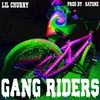 About Gang Riders Song