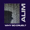 About Why So Cruel? Song