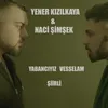 Yabancıyız Vesselam