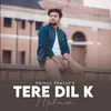 About Tere Dil K Makaan Song