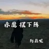 赤鹰 摆下阵