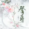 About 替身 Song