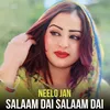 About Salaam Dai Salaam Dai Song