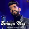 About Behaya Mon Song