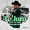 About Te Juro Que Te Amo Song