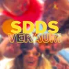 About SDDS VERAUM Song