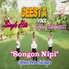 About SONGON NIPI Song