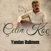 About Yandan Halimem Song