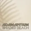 About Shaded Beach Song