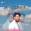 About Neyla Thalli Edisindi ro Song