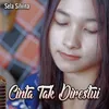 About Cinta Tak Direstui Song